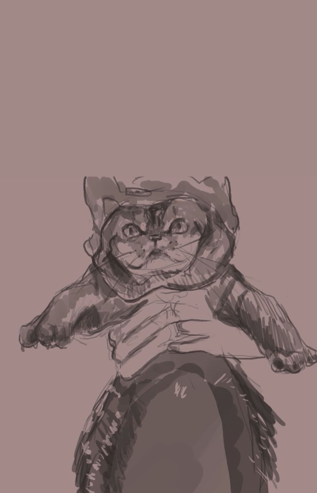 Digital sketch of a tabby cat held up by two hands, rendered with loose expressive linework — by Haya Shahzad.